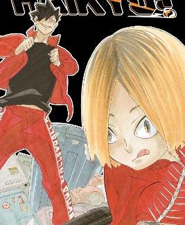 HAIKYU!! 3-IN-1 EDITION 08 PA