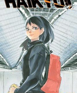 HAIKYU!! 3-IN-1 EDITION 09 PA