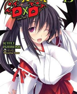 HIGH SCHOOL DXD, VOL. 13 (LIGHT NOVEL)