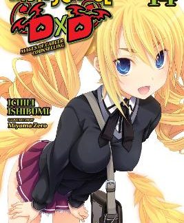 HIGH SCHOOL DXD, VOL. 14 (LIGHT NOVEL)