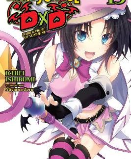 HIGH SCHOOL DXD, VOL. 15 (LIGHT NOVEL)