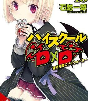HIGH SCHOOL DXD, VOL. 16 (LIGHT NOVEL)