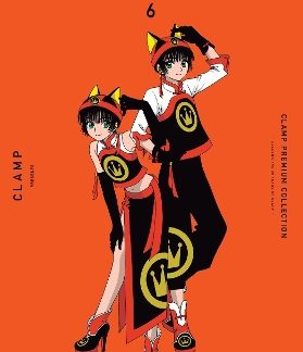 CLAMP PREMIUM COLLECTION TOKYO BABYLON, VOL. 6