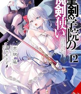 THE DEMON SWORD MASTER OF EXCALIBUR ACADEMY, VOL. 12 (LIGHT NOVEL)
