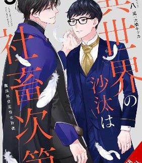 THE OTHER WORLD'S BOOKS DEPEND ON THE BEAN COUNTER, VOL. 3 (LIGHT NOVEL)