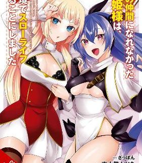 REJECTED BY THE HERO'S PARTY, A PRINCESS DECIDED TO LIVE A QUIET LIFE IN THE COUNTRYSIDE, VOL. 2