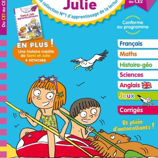MON CAHIER DE VACANCES SAMI ET JULIE DE LA CE 1 AU CE2