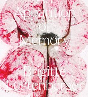 BRIGITTE LUSTENBERGER: AN APPARITION OF MEMORY HC