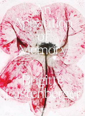 BRIGITTE LUSTENBERGER: AN APPARITION OF MEMORY HC