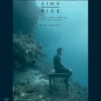 NICK BRANDT VOL. 3: THE DAY MAY BREAK: SINK / RISE HC