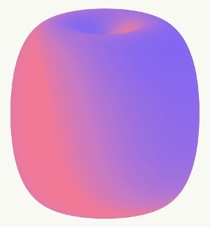 TRANSFORM! DESIGN AND THE FUTURE OF ENERGY PB