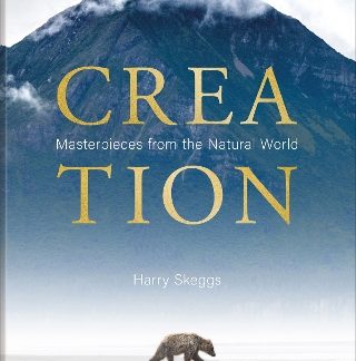 CREATION : MASTERPIECES FROM THE NATURAL WORLD