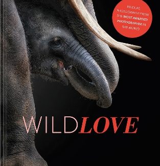 WILDLOVE