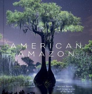 AMERICAN AMAZON : ANCIENT FORESTS AND LIVING WATERS OF THE WILD SOUTHEASTERN US
