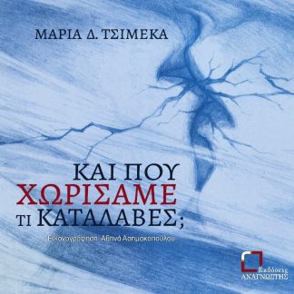 ΚΑΙ ΠΟΥ ΧΩΡΙΣΑΜΕ ΤΙ ΚΑΤΑΛΑΒΕΣ;