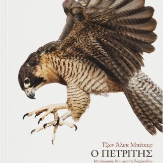 Ο ΠΕΤΡΙΤΗΣ