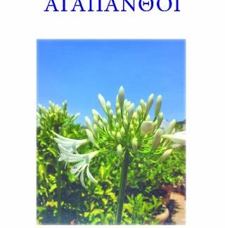 ΑΓΑΠΑΝΘΟΙ