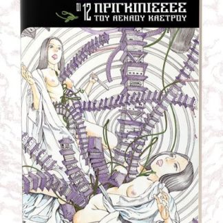 ΟΙ 12 ΠΡΙΓΚΙΠΙΣΣΕΣ ΤΟΥ ΑΕΝΑΟΥ ΚΑΣΤΡΟΥ