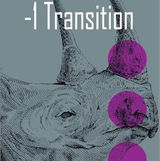-1 TRANSITION