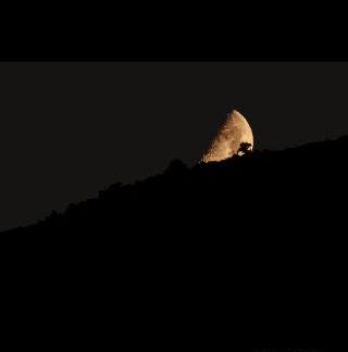 Η ΤΕΧΝΙΚΗ ΤΗΣ ΑΝΑΛΟΓΙΚΗΣ ΚΑΙ ΤΗΣ ΨΗΦΙΑΚΗΣ ΦΩΤΟΓΡΑΦΙΑΣ
