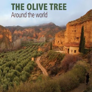 THE OLIVE TREE : AROUND THE WORLD