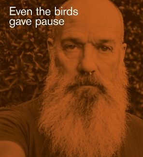MICHAEL STIPE: EVEN THE BIRDS GAVE PAUSE HC