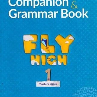 FLY HIGH A1 TCHR'S COMPANION