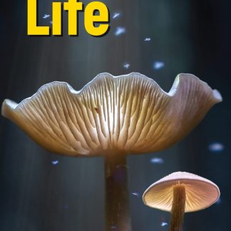 LIFE 2 SB ( + SPARK) AMER. ED 3RD ED