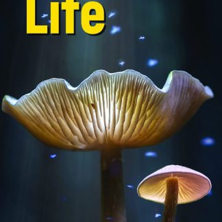 LIFE ELEMENTARY SB ( + SPARK) BRIT. ED 3RD ED