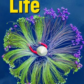 LIFE PRE-INTERMEDIATE SB ( + SPARK) BRIT. ED 3RD ED