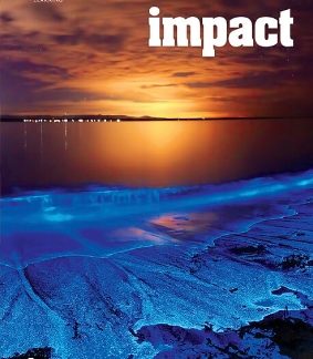 IMPACT 4 SB ( + SPARK) BRIT. ED