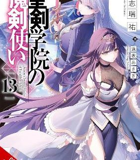 THE DEMON SWORD MASTER OF EXCALIBUR ACADEMY, VOL. 13 (LIGHT NOVEL)