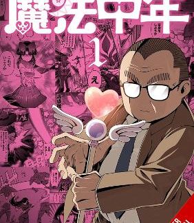 MAGICAL MIDLIFER, VOL. 1
