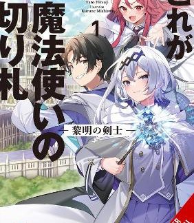 THIS IS THE WIZARD’S SECRET WEAPON, VOL. 1 (LIGHT NOVEL)