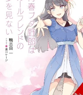 RASCAL DOES NOT DREAM OF GIRLFRIEND (LIGHT NOVEL)