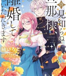 TO SIR, WITHOUT LOVE: I'M DIVORCING YOU, VOL. 2 (MANGA)
