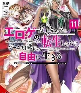 MAGICAL EXPLORER, VOL. 11 (LIGHT NOVEL)