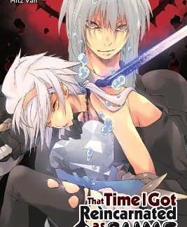 THAT TIME I GOT REINCARNATED AS A SLIME, VOL. 22 (LIGHT NOVEL)