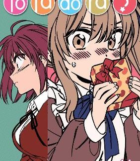 TORADORA! (MANGA) VOL. 11