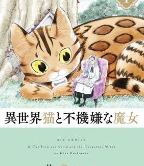 CAT FROM OUR WORLD VOL. 1