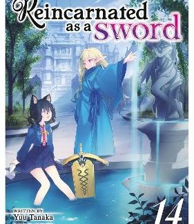REINCARNATED SWORD VOL 14 LIGHT