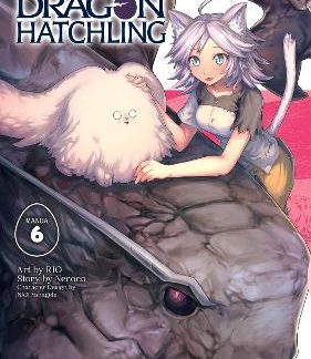 REINCARNATED DRAGON VOL 6 MANGA