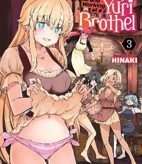 BECOMING A PRINCESS KNIGHT VOL. 3