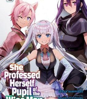 SHE PROFESSED HERSELF VOL 12 MANGA