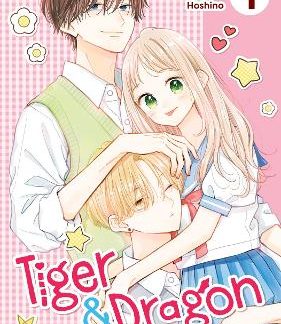 TIGER AND DRAGON VOL. 1