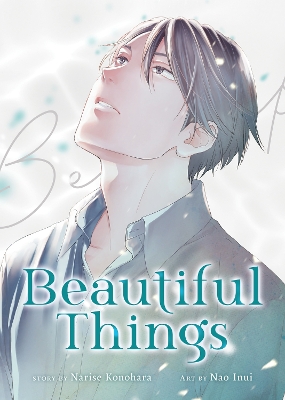 BEAUTIFUL THINGS COMPLETE MANGA
