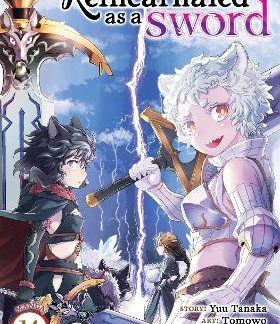 REINCARNATED AS A SWORD VOL 14 MANGA