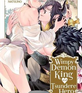 WIMPY DEMON KING AND TSUNDERE HERO