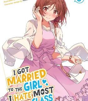 I GOT MARRIED TO THE GIRL I HATE VOL 3 LIGHT
