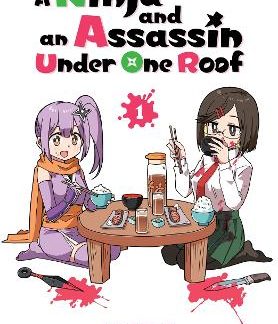 NINJA AND AN ASSASSIN UNDER ONE ROOF VOL. 1